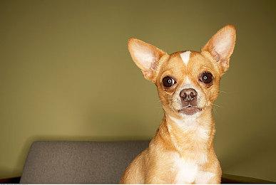 《点老救世记》开发者想要获得Metacritic的认可